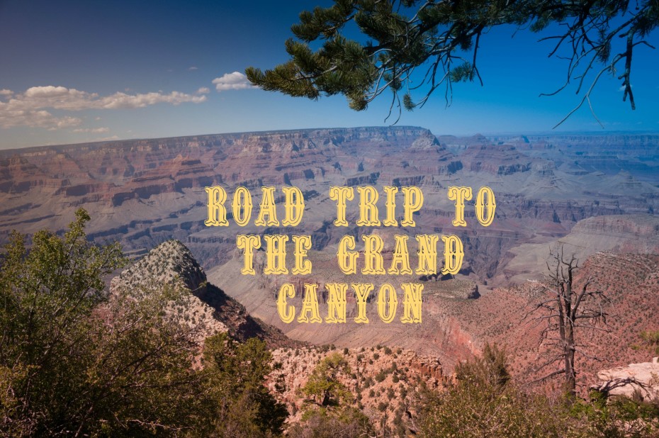 Photos from a road trip to the Grand Canyon, USA. _GirlGoneTravel.com