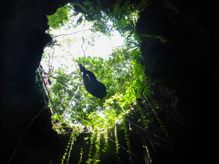 CarolCain Cenote.Photo credit Dave Bouskill