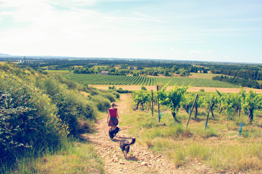 Hike to the hilltops for your wine. Rhone Valley vacations_girlgonetravel