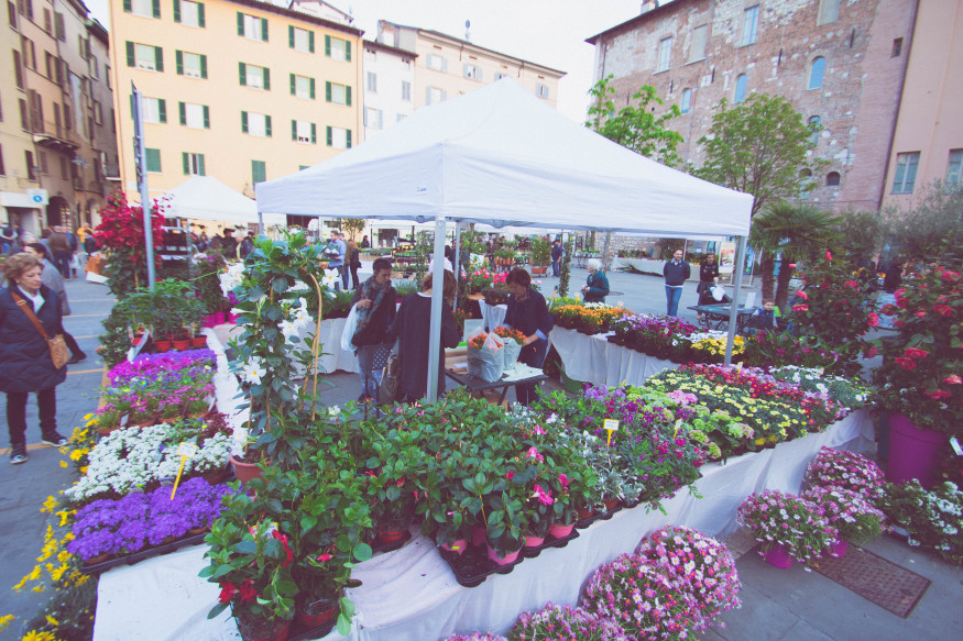 Flower market on a weekend in Brescia, Italy. _GirlGoneTravel.com