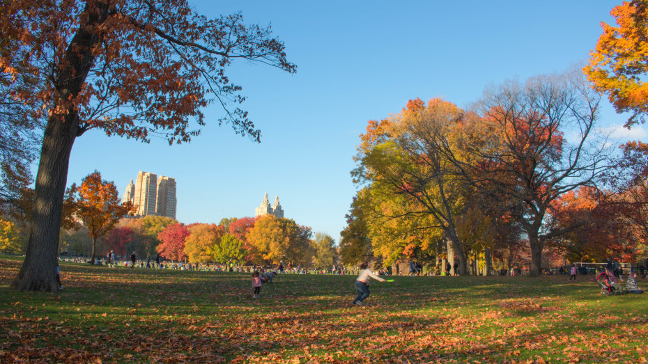 Central Park Fall 2016